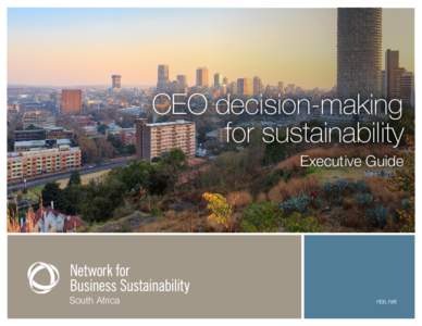 CEO decision-making for sustainability Executive Guide South Africa