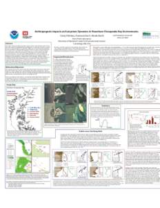 Anthropogenic Impacts on Ecosystem Dynamics in Nearshore Chesapeake Bay EnvironmentsCindy Palinkas, Evamaria Koch, Nicole Barth Horn Point Laboratory
