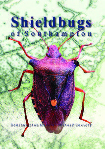 Shieldbugs o f  S o u t h a m p t o n