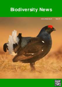 Ecology / Grouse / Wildlife / Conservation / Black Grouse / Tetraonidae / BioBlitz / Biodiversity Action Plan / Game & Wildlife Conservation Trust / Biology / Biodiversity / Environment