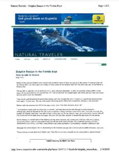 Page 1 of2  Natural Traveler Dolphin Rescue in the Florida Keys -  Ready for a vacation?