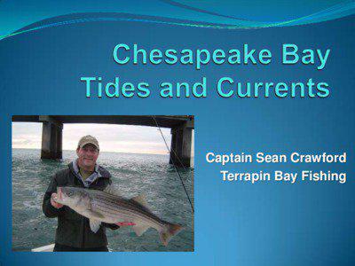 Captain Sean Crawford Terrapin Bay Fishing