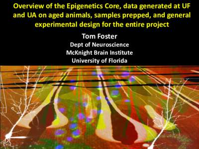 Overview of the Epigenetics Core, data generated at UF and UA on aged animals, samples prepped, and general experimental design for the entire project Tom Foster Dept of Neuroscience