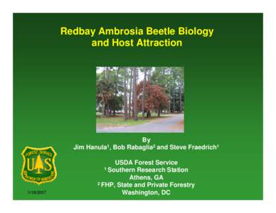 Redbay Ambrosia Beetle Biology and Host Attraction By Jim Hanula1, Bob Rabaglia2 and Steve Fraedrich1