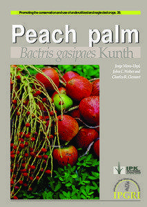 Peach palm - <i>Bactris gasipaeas</i> Kunth