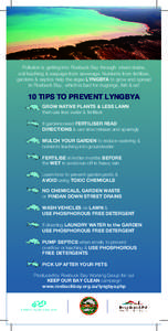 Pollution is getting into Roebuck Bay through street drains, soil leaching & seepage from sewerage. Nutrients from fertilizer, gardens & septics help the algae LYNGBYA to grow and spread in Roebuck Bay, which is bad for 