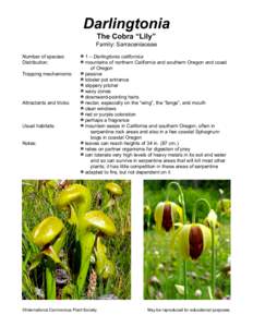 Darlingtonia The Cobra “Lily” Family: Sarraceniaceae Number of species: Distribution: Trapping mechanisms: