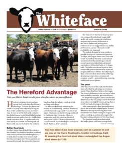 Whiteface  The HEREFORDS — The Efﬁciency Experts