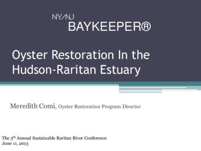 Oyster Restoration In the Hudson-Raritan Estuary