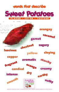 words that describe  Sweet Potatoes F L AV O R • C O L O R • T E X T U R E  orangey