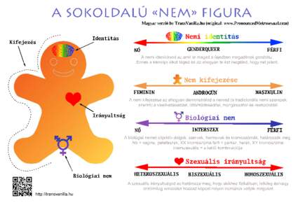 A SOKOLDALÚ « NEM»FI GURA Magyarve r z