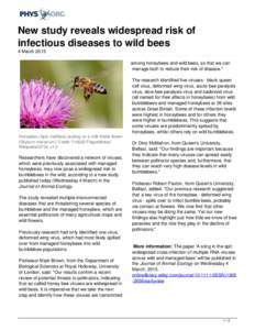 New study reveals widespread risk of infectious diseases to wild bees