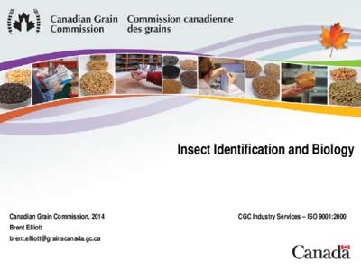 Insect Identification and Biology  Canadian Grain Commission, 2014 Brent Elliott [removed]