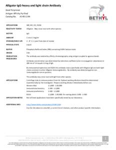 Alligator IgG-heavy and light chain Antibody Goat Polyclonal Antigen Affinity Purified Catalog No. A140-119A