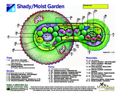 Shady/Moist Garden  Alternate view Ca 1