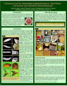 Caribbean Fruit Fly, Anastrepha suspensa (Diptera: Tephritidae): Life History and Laboratory Rearing Methods Nancy D. Epsky, Jorge S. Sanchez, Wayne S. Montgomery, and Paul E. Kendra