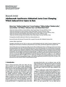 Adalimumab Ameliorates Abdominal Aorta Cross Clamping Which Induced Liver Injury in Rats