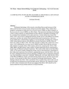 MA Thesis – Human Skeletal Biology Track, Physical Anthropology - New York University[removed]A COMPARATIVE STUDY OF THE ANATOMICAL MECHANICAL ADVANTAGE OF THE ANTHROPOID ELBOW Nicholas Holowka