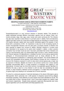 ENCEPHALITOZOON CUNICULI INFECTION IN DOMESTIC RABBITS ELISABETTA MANCINELLI, DVM, MRCVS, CERTZOOMED ECZM RESIDENT IN SMALL COMPANION EXOTIC MAMMAL MEDICINE AND SURGERY Great Western Exotic Vets Unit 10 Berkshire House, 