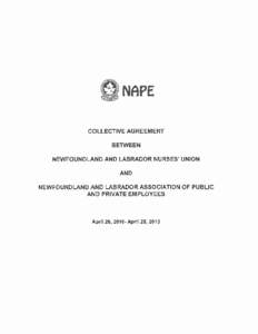NLNU(Staff) and NAPE 2010 to 2013