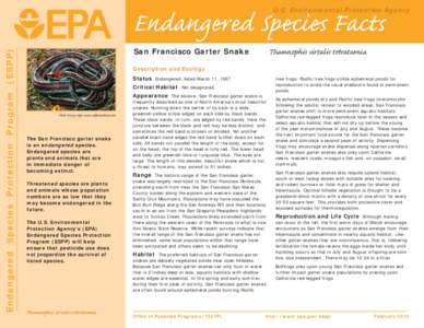 US EPA - Endangered Species Facts - San Francisco Garter Snake