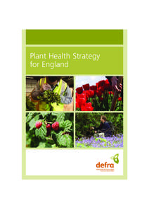 Plant Health Strategy Cover.qxd[removed]:46 am