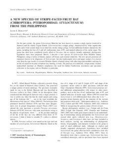 Journal of Mammalogy, 88(4):951–958, 2007  A NEW SPECIES OF STRIPE-FACED FRUIT BAT