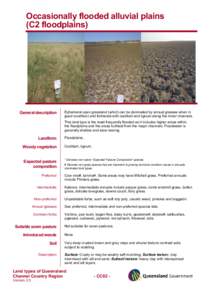 Microsoft Word - CC_02Occasionally flooded alluvial plains.doc
