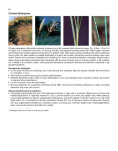 86  Chinese Silvergrass Chinese silvergrass (Miscanthus sinensis Andersson) is a tall, densely tufted, perennial grass, 5 to 10 feet (1.5 to 3 m) in height from a perennial root crown. It has long, slender, and upright-t