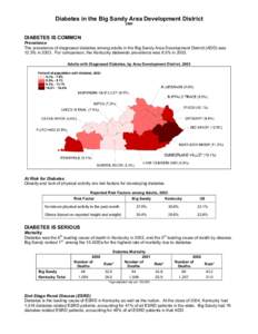 Diabetes in the Big Sandy Area Development District 2005 DIABETES IS COMMON Prevalence The prevalence of diagnosed diabetes among adults in the Big Sandy Area Development District (ADD) was