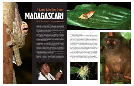 A Land Like No Other  Madagascar! STORY AND PHOTOS BY JULIE LARSEN MAHER WE SET OUT on a hike at dusk, but night in the tropics descends quickly, like a dropped curtain. It is soon dark. I hear things, but
