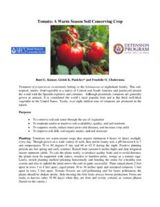 Microsoft Word - Technical Notes - Tomato (2)