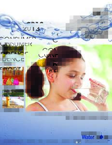 Water / Water pollution / Natural environment / Natural resources / Water management / Des Moines metropolitan area / Des Moines /  Iowa / Water quality / Turbidity / Dietary Reference Intake / Surface runoff / Water supply