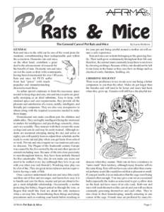 The General Care of Pet Rats and Mice  Drawing by Sheryl Leisure. GENERAL Rats and mice in the wild can be one of the worst pests for