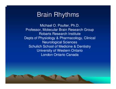 Brain Rhythms Michael O. Poulter, Ph.D. Professor, Molecular Brain Research Group Robarts Research Institute Depts of Physiology & Pharmacology, Clinical Neurological Sciences