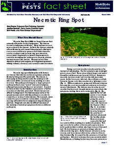 Utah Factsheet Utah Pest Pest Factsheet Published by Utah State University Extension and Utah Plant Pest Diagnostic Laboratory