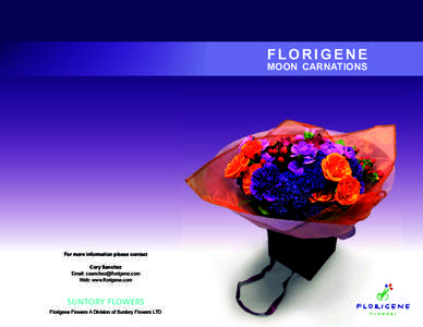 FLORIGENE MOON CARNATIONS For more information please contact Cory Sanchez Email: csanchez@ﬂorigene.com