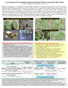 Land management / Roundup / Amaranthus palmeri / Amaranth / Paraquat / Glyphosate / LibertyLink / Cotton / Glufosinate / Herbicides / Agriculture / Chemistry