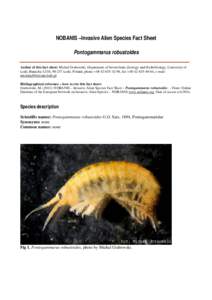 NOBANIS –Invasive Alien Species Fact Sheet Pontogammarus robustoides Author of this fact sheet: Michal Grabowski, Department of Invertebrate Zoology and Hydrobiology, University of Lodz, Banacha 12/16, [removed]Lodz, Pol