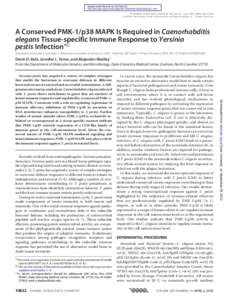 Supplemental Material can be found at: http://www.jbc.org/content/suppl[removed]M109[removed]DC1.html THE JOURNAL OF BIOLOGICAL CHEMISTRY VOL. 285, NO. 14, pp[removed]–10840, April 2, 2010 © 2010 by The American Socie