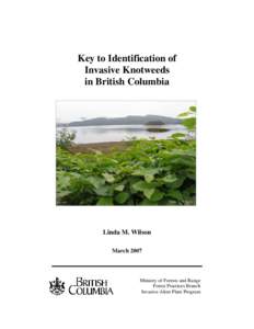 Key to Identification of Invasive Knotweeds in British Columbia Photo: L. Wilson