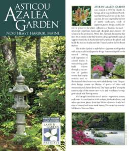 Mount Desert Island / Asticou Azalea Garden / Reef Point Estate / Beatrix Farrand / Northeast Harbor /  Maine / Japanese garden / Garden design / Azalea / Bar Harbor /  Maine / Japanese rock garden / Max Farrand