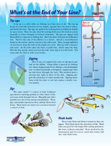 What’s at the End of Your Line? Tip-ups A tip-up is a nifty little ice fishing tool that does it all. The tip-up keeps live bait like minnows at one depth, signals when the bait is taken, and holds the line. Tip-ups ar