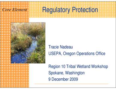 Core Element: Regulatory Protection