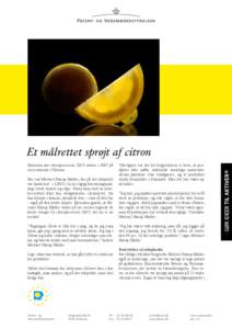 Et målrettet sprøjt af citron Historien om citruspresseren SjUS starter i 2007 på en restaurant i Ukraine. Her sad Michael Hørup Møller, der på det tidspunkt var landechef i LEGO, til en vigtig forretningsmiddag i 