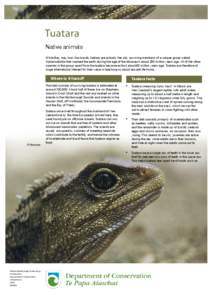 Tuatara: conservation revealed: publications