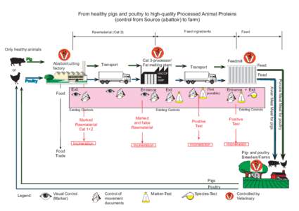 From healthy pigs and poultry to high-quality Processed Animal Proteins (control from Source (abattoir) to farm) Feed ingredients Rawmaterial (Cat 3)