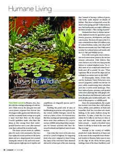 Oases for Wildlife Animal-friendly ponds transform ordinary backyards into vibrant mini-ecosystems by RUTHANNE JOHNSON  Tom Gatz’s yard in Phoenix, Ariz., bustles with the comings and goings of wild visitors. Birds nes