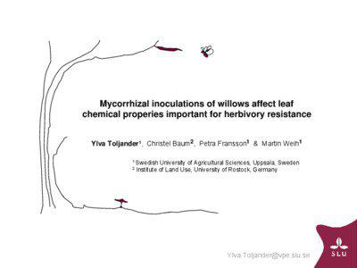 Mycorrhizal inoculations of willows affect leaf chemical properies important for herbivory resistance Ylva Toljander1, Christel Baum2, Petra Fransson1 & Martin Weih1