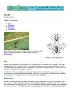 Aphids Family: Aphididae Table of Contents • •